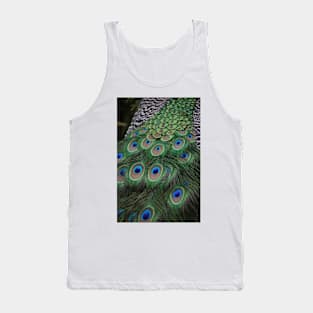 Javan Green Peafowl Tank Top